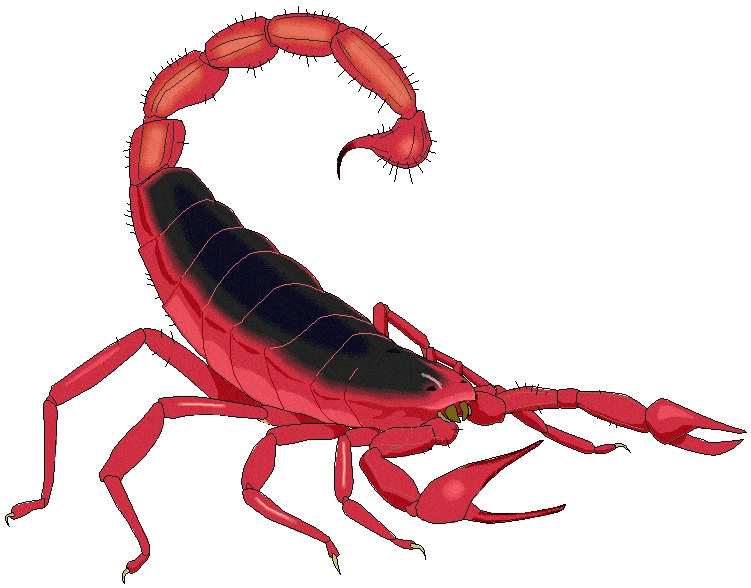 Clipart Scorpion