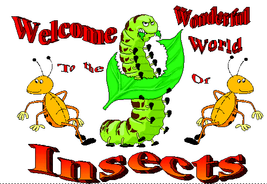 The Science Spot: World of Insects.