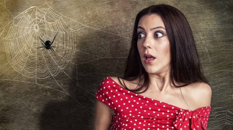 Fear Of Spiders 101: The History of Arachnophobia Explained