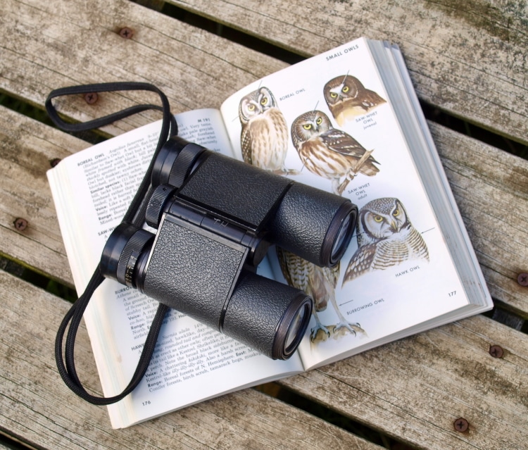 7 Of The Best Binoculars for Birding & Bird Watching Examined