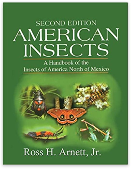 American Insects: A Handbook of the Insects of America North of Mexico