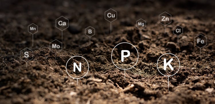 loamy soil can affect secondary genetic expression