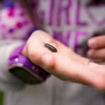Pet Woodlice 101: How To Identify, House & Take Care Of A Woodlouse